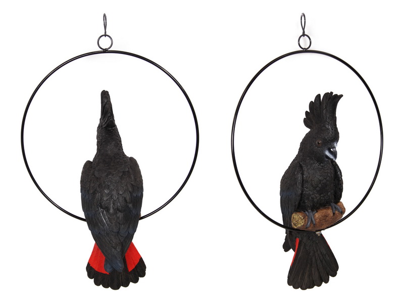 Black Cockatoo in Hanging Metal Ring (Large)